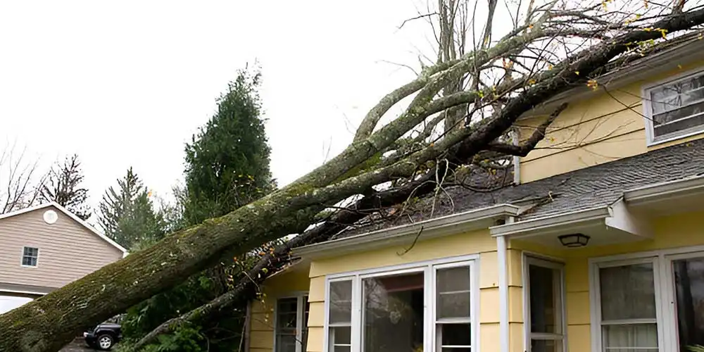 Expert Storm Damage Roofers Ocala, FL